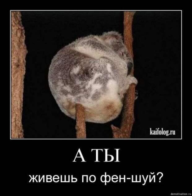 Демотиваторы-13 (50 фото)
