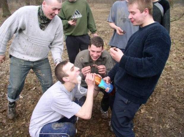 Приколы из социальных сетей