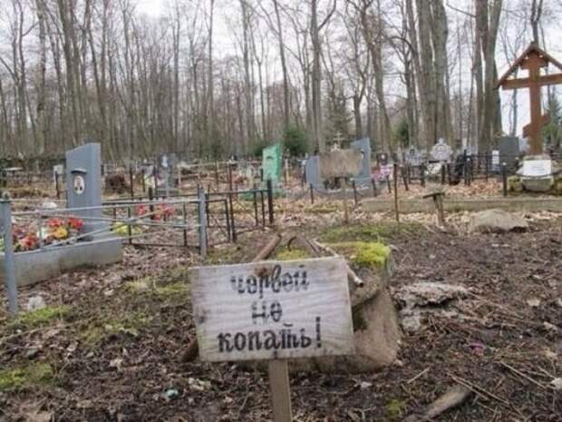 Народная креативность в надписях Народная креативность в надписях