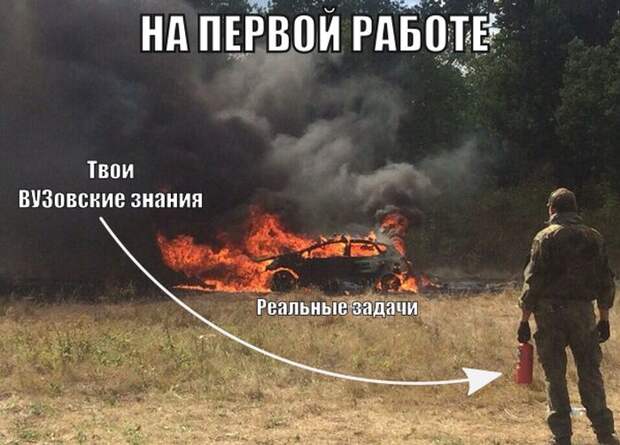 Прикольные картинки (99 фото)