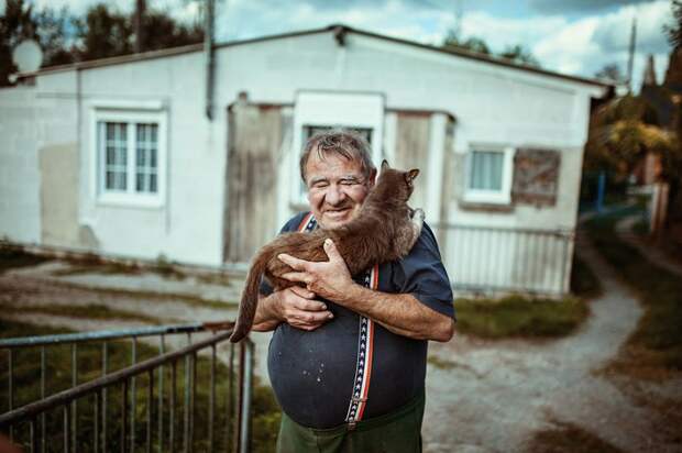 Старые друзья животные, собака, друзья