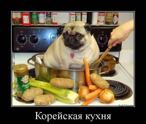 Демотиваторы  демотиваторы, прикол, смех, юмор