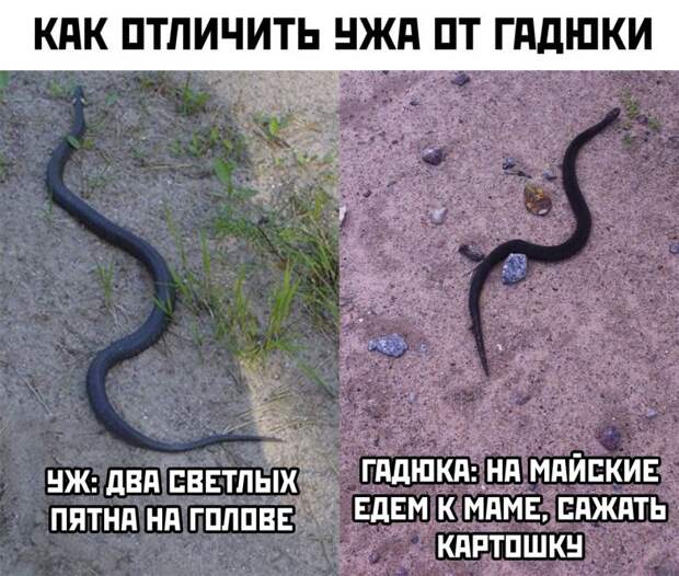 Первомай. Забей на всех и отдыхай!
