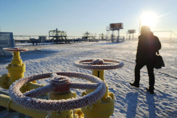 Bloomberg: ЕС хочет снизить зависимость от американского газа