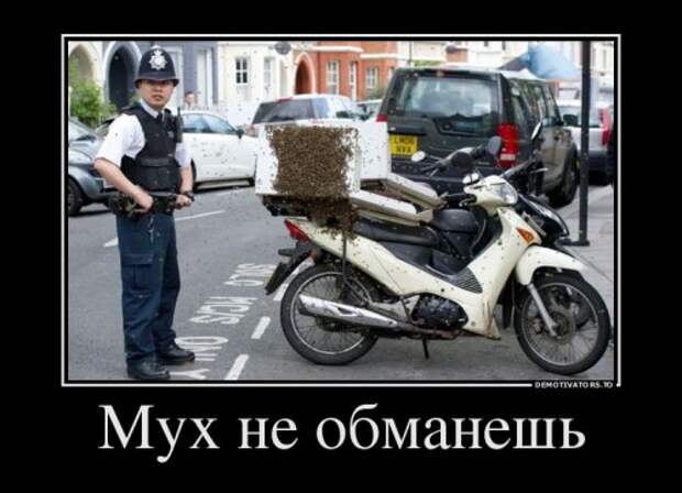 Свежие демотиваторы-приколы (14 шт)