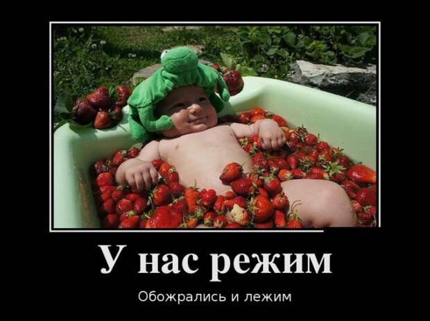 Демотиваторы (30 фото) Демотиваторы (30 фото)