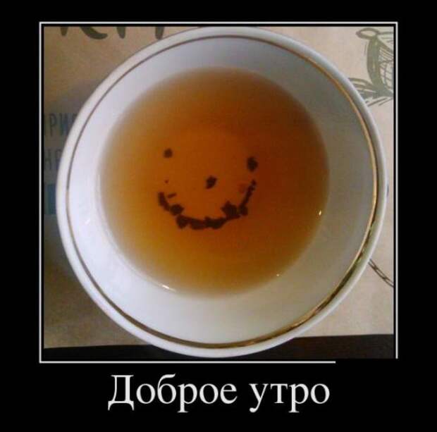 Подборка новых демотиваторов