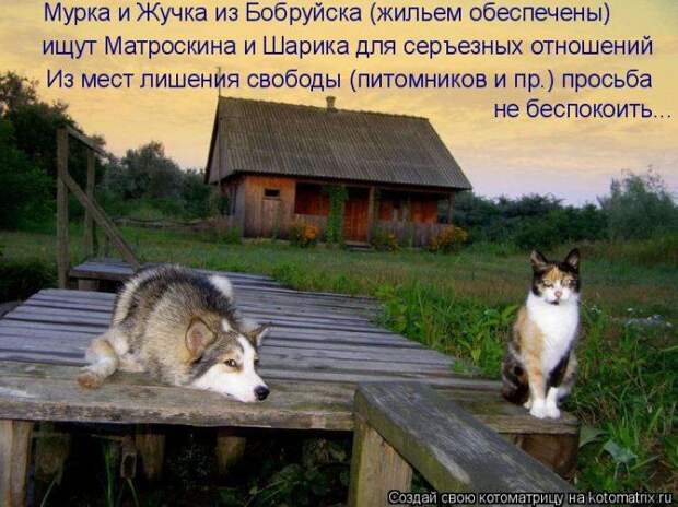 Мысли вслух :)