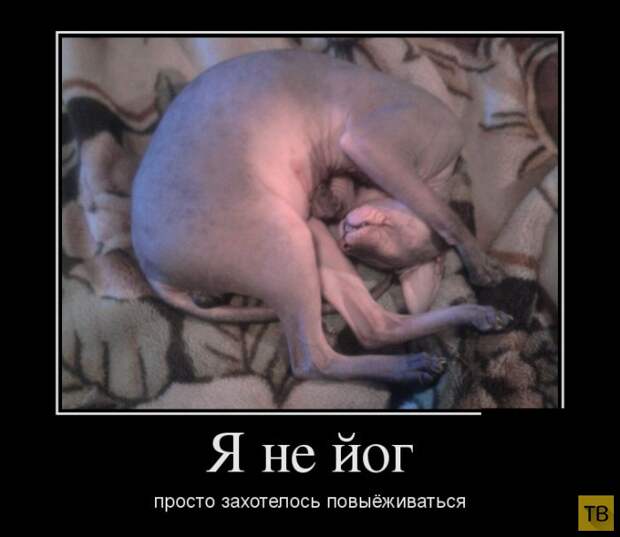 Подборка демотиваторов 15. 12. 2014 (32 фото)