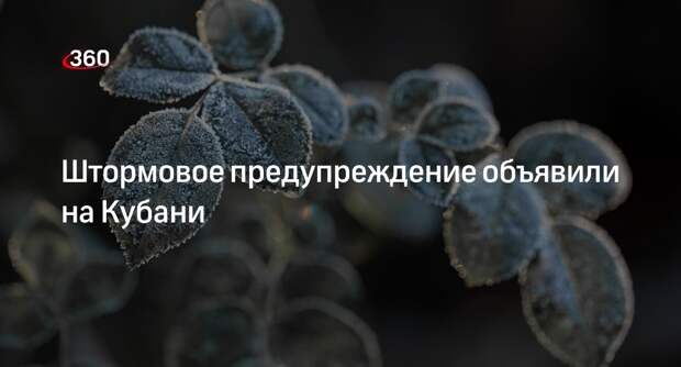 МЧС Кубани объявило штормовое предупреждение из-за заморозков