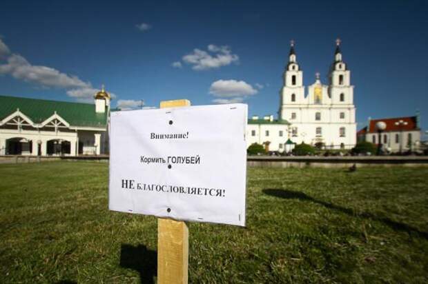 Прикольные надписи, объявления