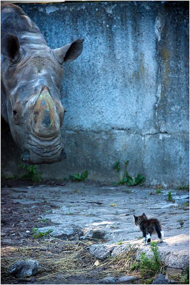 0444 Лучшие фотографии России 2011. Номинация “Природа”