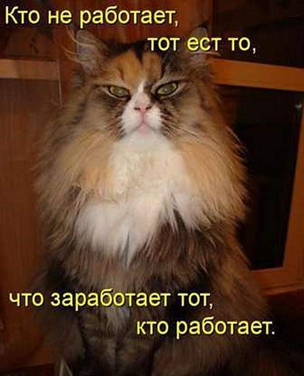 65385900_1287250850_yc23u