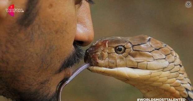 Забавности и оригинальности 16