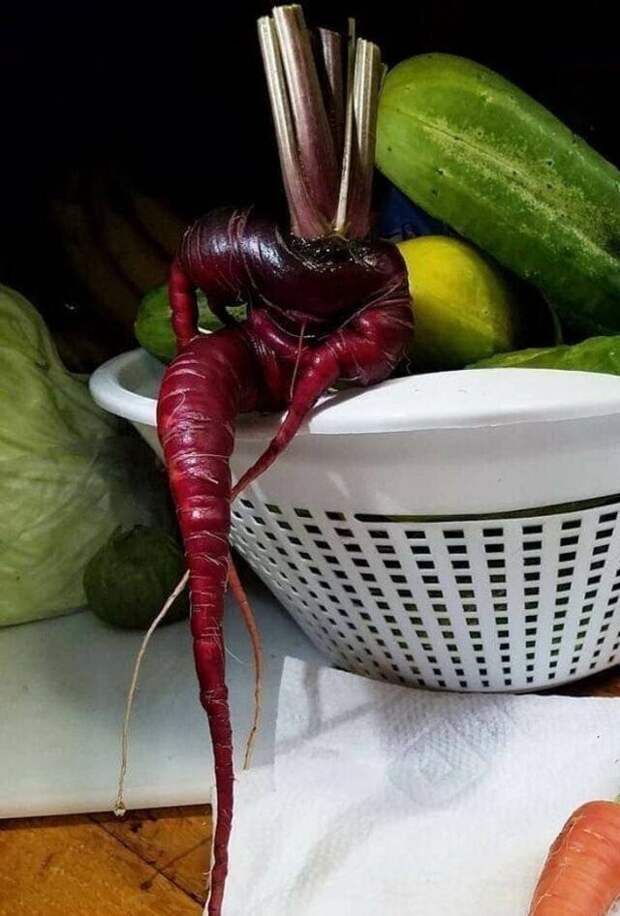 Опять эти овощи