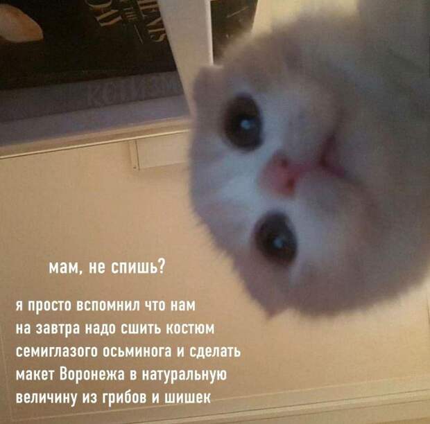 Юмор дня (11)