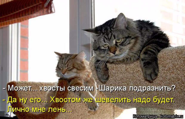 1429216195_41 (700x450, 272Kb)