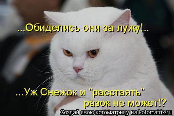 Мысли вслух :)
