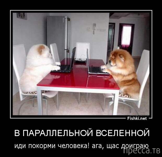 Самые злобные демотиваторы, часть 94 (46 фото)