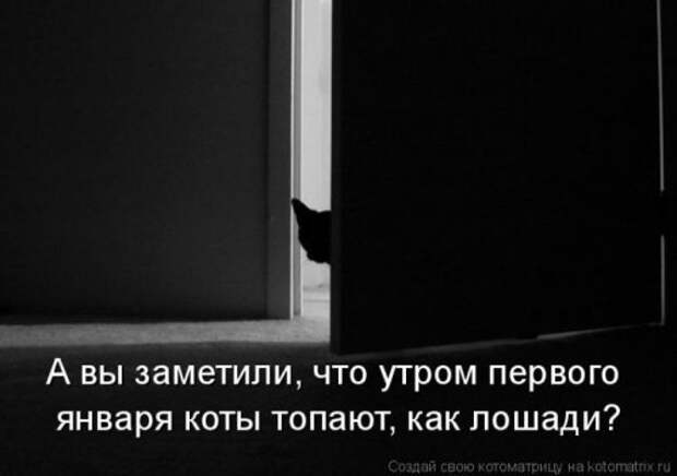 Лучшие котоматрицы недели, 25 фото
