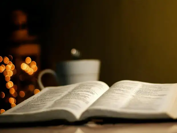 Кинокритик Долин предложил "отменить" русскую культуру