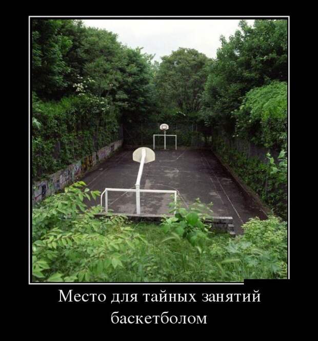 Демотиваторы демотиваторы, юмор