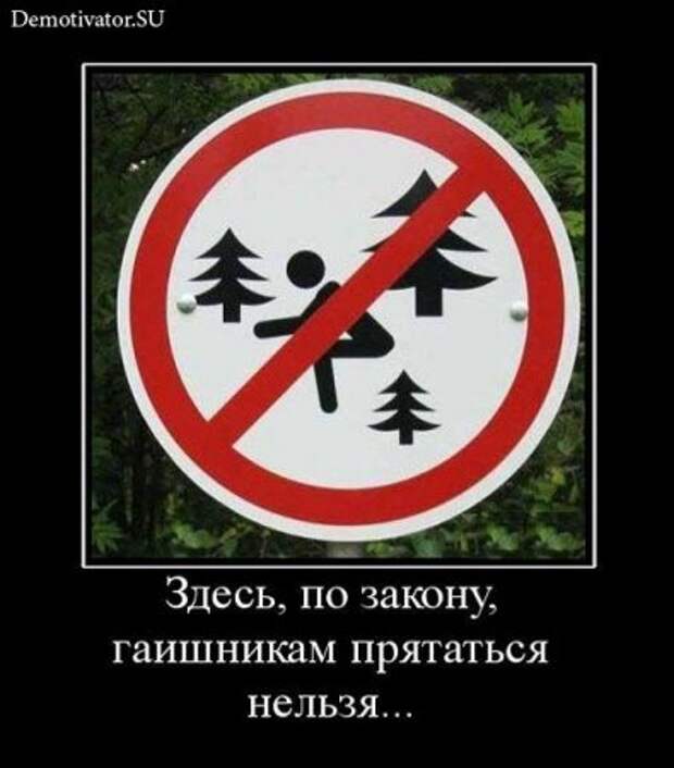 Смешные новые демотиваторы.