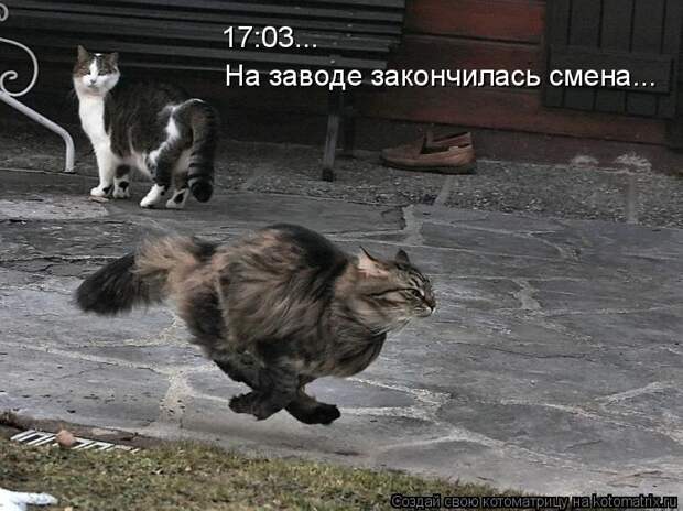 Котоматрица: 17:03... На заводе закончилась смена...