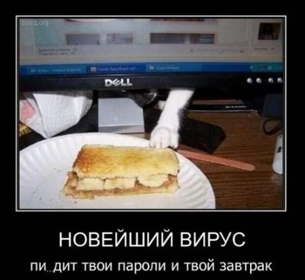 Приколы и демотиваторы, новые за неделю.
