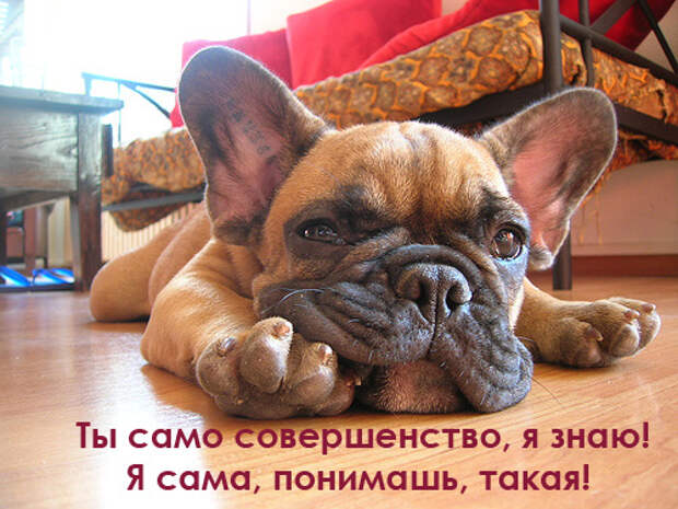 Подборочка прикольных открыток