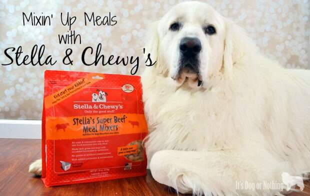 Need a healthy, yet delicious way to mix up your dog's meals? Try Stella & Chewy's Meal Mixers for a nutritional boost!