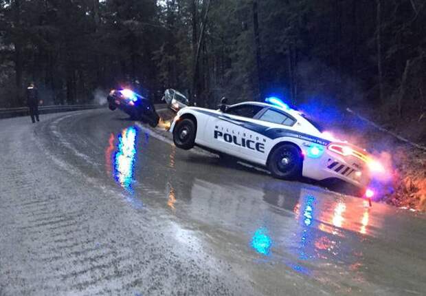 Прикольные картинки Прикольные картинки