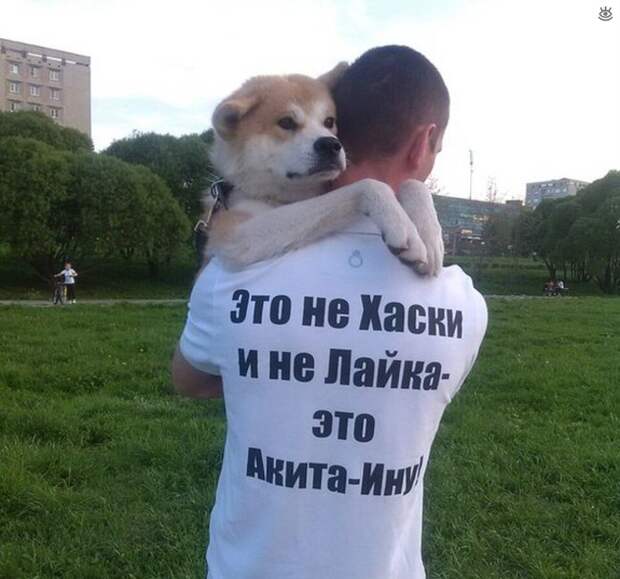 Комичные курьёзы из повседневности 22