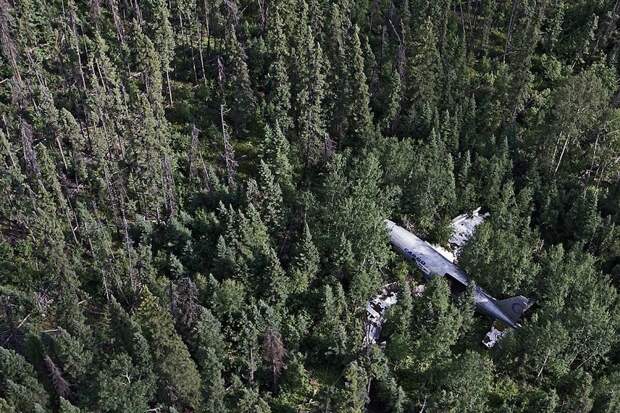 7 потрясающих фотографий авиакатастроф, в которых... все выжили