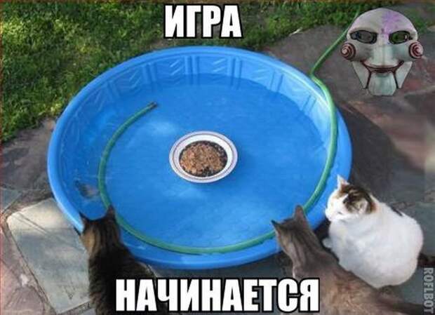 Прикольные картинки Прикольные картинки