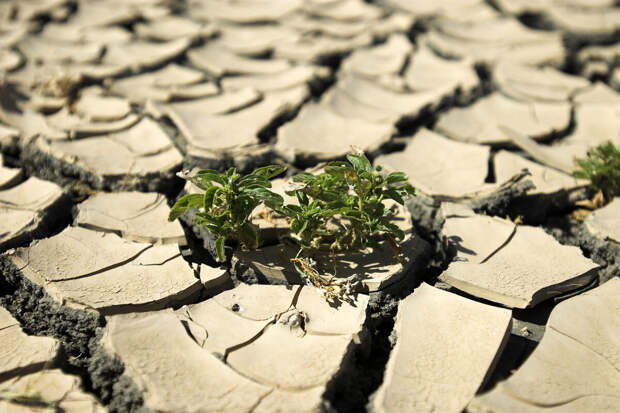 Bloomberg: обнаружены признаки ускорения глобального потепления