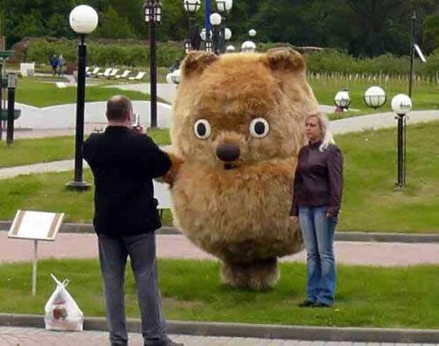а прикиньте ночью такое встретить?