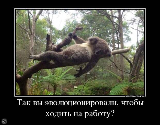 Здравствуй, осень! 44
