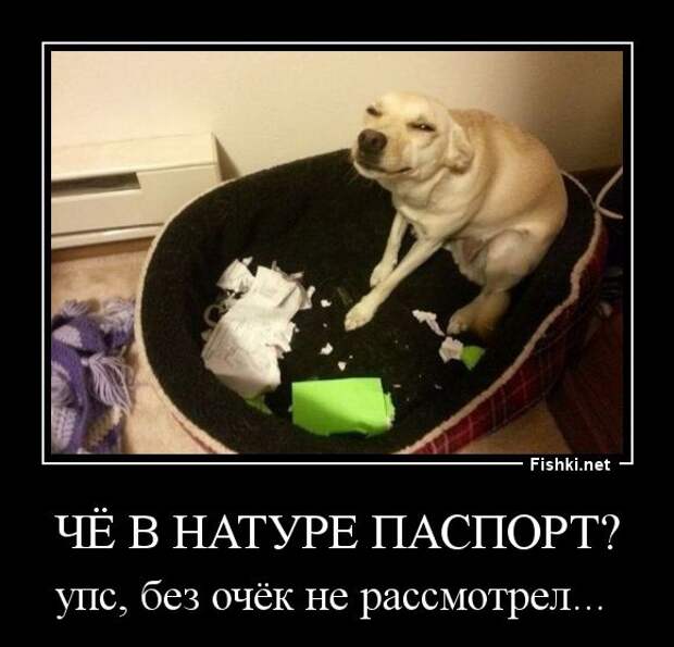 Демотиваторы демотиваторы, прикол, смех, юмор
