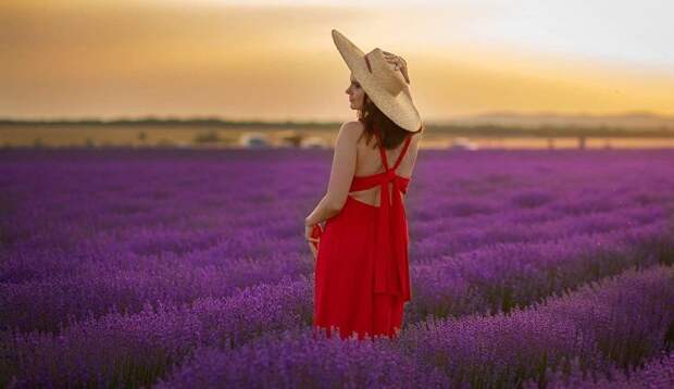 Готовимся к фотосессиям в лаванде: новые локации фиолетовых полей в Крыму