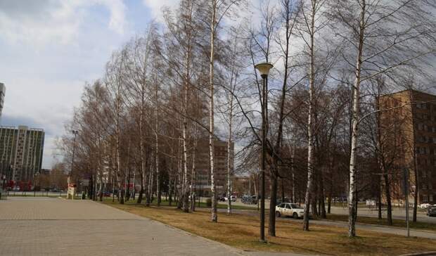 Глава Ижевска: повалены заборы, дорожные знаки, есть пострадавшие