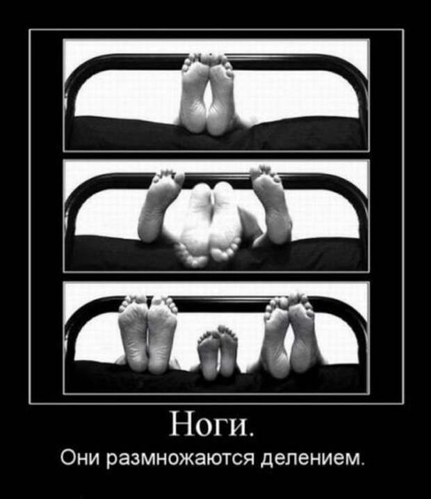 Демотиваторы (34 фото)