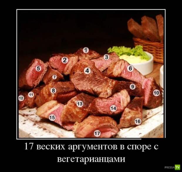 Демотиваторы на август, часть 22 (30 фото)