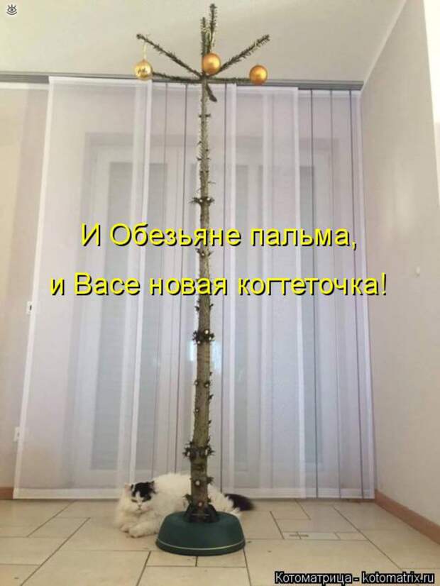 Чудная котоматрица 7