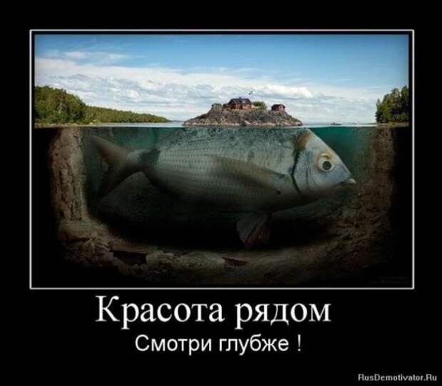 Демотиваторы