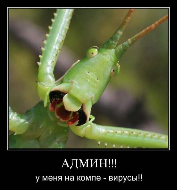 Демотиваторы (32 фото)