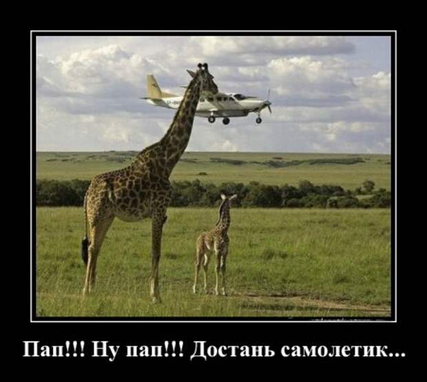 Демотиватоы любой день прикольным сделают.