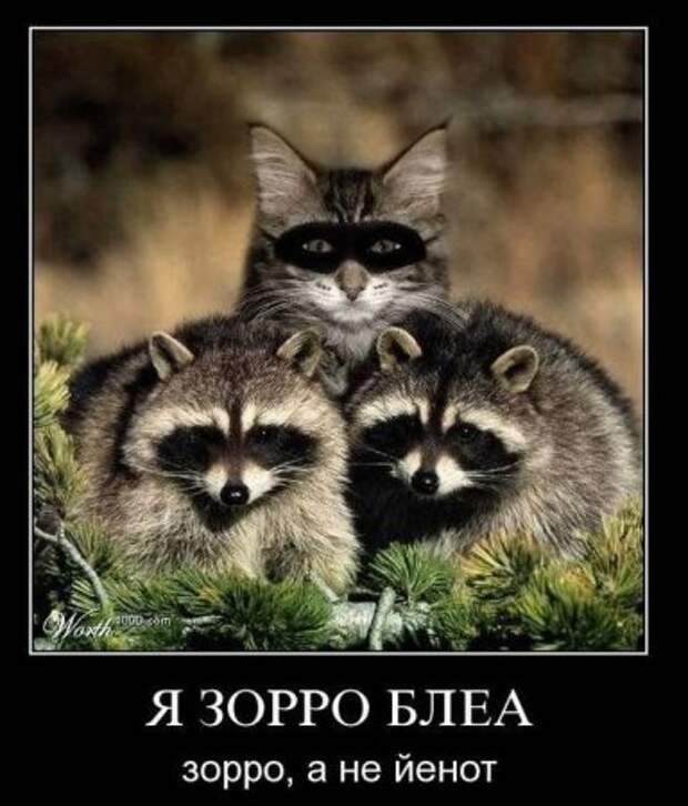 Новенькие смешные демотиваторы.