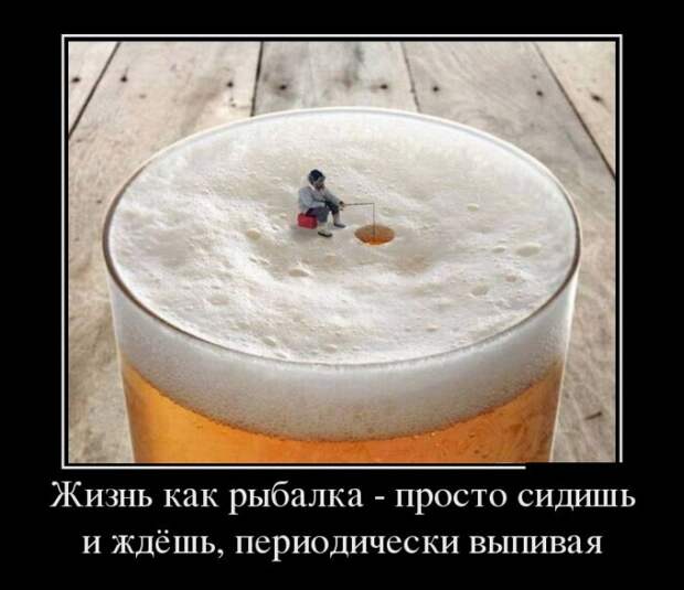 Демотиваторы (30 фото)
