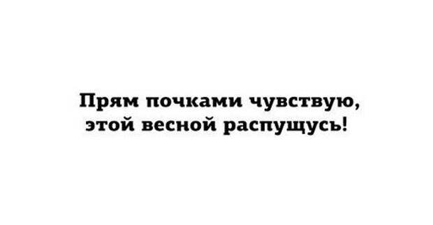 Классные цитаты дня